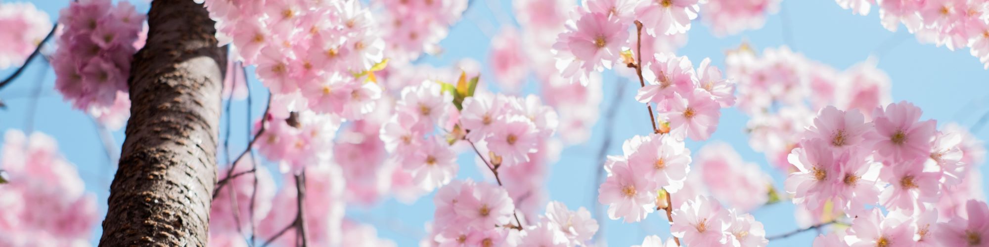 日常生活について